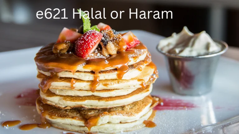 e621 Halal or Haram