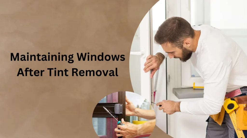 Maintaining Windows After Tint Removal