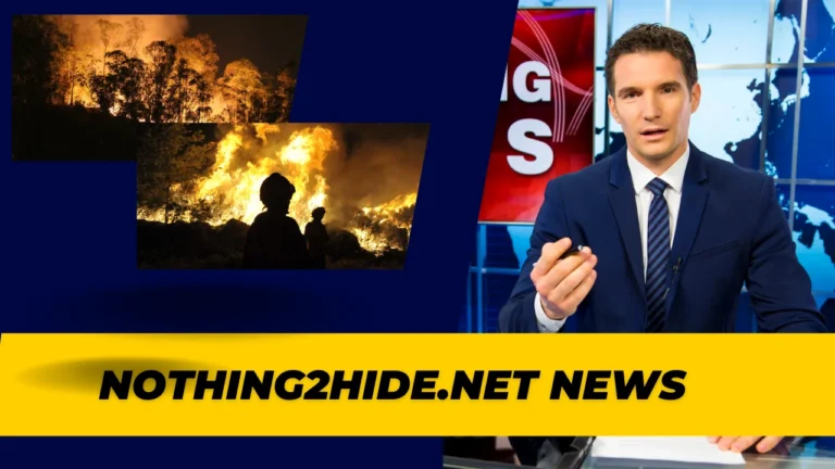 Everything You Need to Know About Nothing2Hide.net News