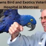 Who Owns Bird and Exotics Veterinary Hospital in Montreal