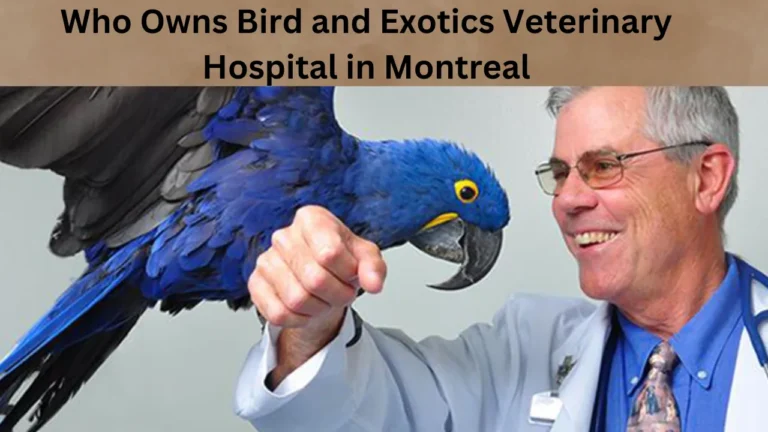 Who Owns Bird and Exotics Veterinary Hospital in Montreal